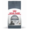 Fcn dental care 1.5kg|ohgreen Sale