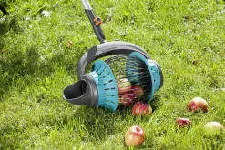 FRUITCOLLECTOR|ohgreen Outlet