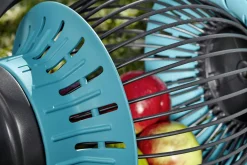 FRUITCOLLECTOR|ohgreen Outlet