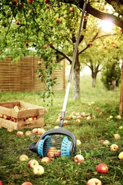 FRUITCOLLECTOR|ohgreen Outlet