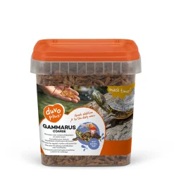 Gammarus grof|ohgreen New