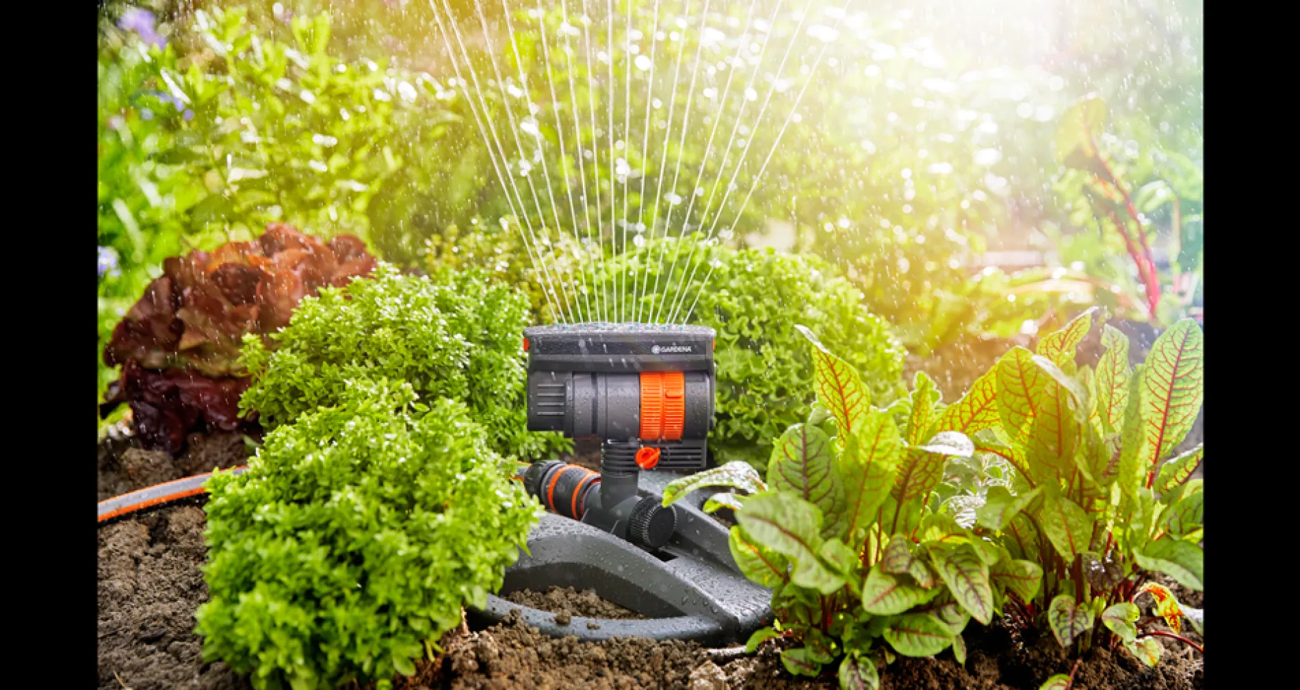 Gardena zwenksproeier AquaZoom compact|ohgreen Online