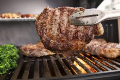 Gasbarbecue Genesis E-315, Black|ohgreen Discount