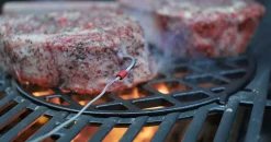 Gasbarbecue spirit epx-315 premium gbs|ohgreen Discount