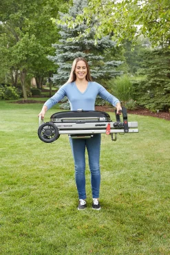 Gasbarbecue traveler|ohgreen Clearance