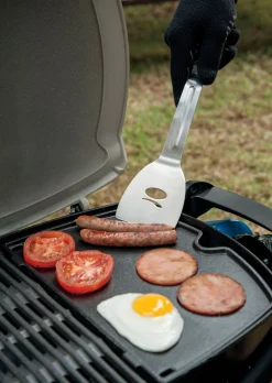 Geitijzer bakplaat klein|ohgreen Clearance