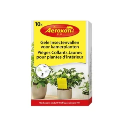Gele insectenvallen voor kamerplanten|ohgreen Clearance