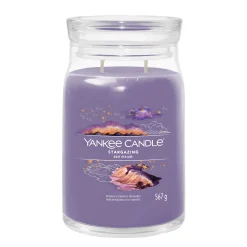 Geurkaars stargazing sign l|ohgreen Sale