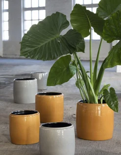 Glazed shades Sierpot l38xb38xh38 honey|ohgreen Discount