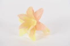 Glazen amaryllis bloem|ohgreen New