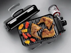 Go-anywhere gasversie|ohgreen Hot