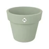 Green basics top planter|ohgreen New