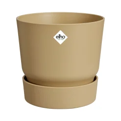 Greenville rond|ohgreen Clearance