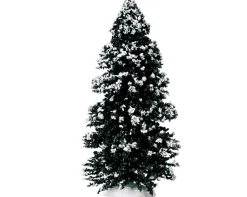 Groenblijvende boom, groot|ohgreen Discount