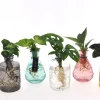 Groenmix in Glas|ohgreen Clearance