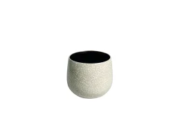 GR.ORCH.POT D18 ORIGIN CRÈME|ohgreen