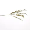 Grote eucalyptus tak 90cm goud|ohgreen