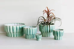 Grote orchidee pot ocean|ohgreen Online