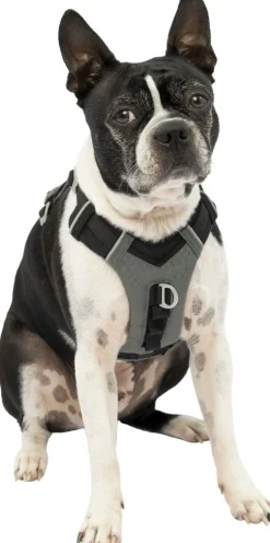 Harnas kurgo journey air tuigje -s|ohgreen Discount