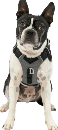 Harnas kurgo journey air tuigje -s|ohgreen Discount