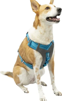 Harnas kurgo journey air tuigje bl-l|ohgreen Hot