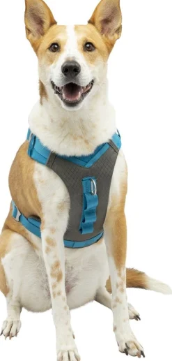 Harnas kurgo journey air tuigje bl-l|ohgreen Hot