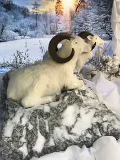 Hervormbare sheet rots 100x60cm|ohgreen Clearance