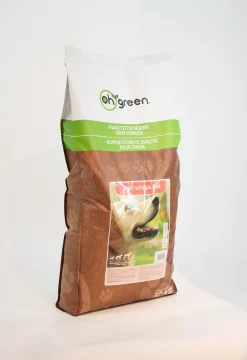 Hondenbrokken adult salmon 12kg|ohgreen Outlet