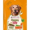 Hondenbrokken happy life adult met rundsmaak 2,5kg|ohgreen Online