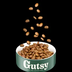 Hondenbrokken kip en insect 10kg adult large|ohgreen Hot