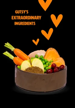 Hondenbrokken kip en insect 10kg adult small|ohgreen Sale