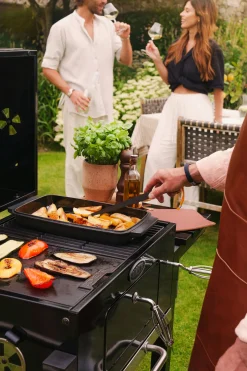 Houtskoolbarbecue Carbone 2.0|ohgreen Outlet