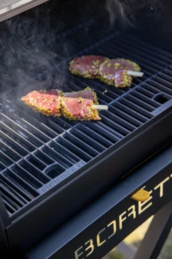 Houtskoolbarbecue Fratello 2.0|ohgreen Online