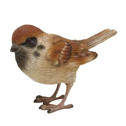 Huismus|ohgreen Best