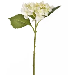 Hydrangea creme 45 cm|ohgreen Discount