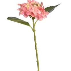 Hydrangea roze 45 cm|ohgreen