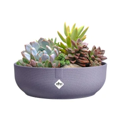 Jazz bowl|ohgreen Hot