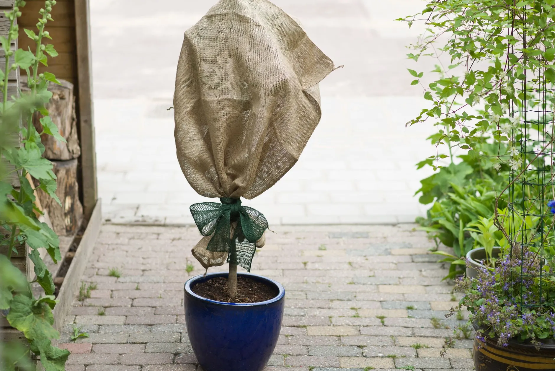 Juteband h10cmx25m groen 220g/m²|ohgreen Clearance