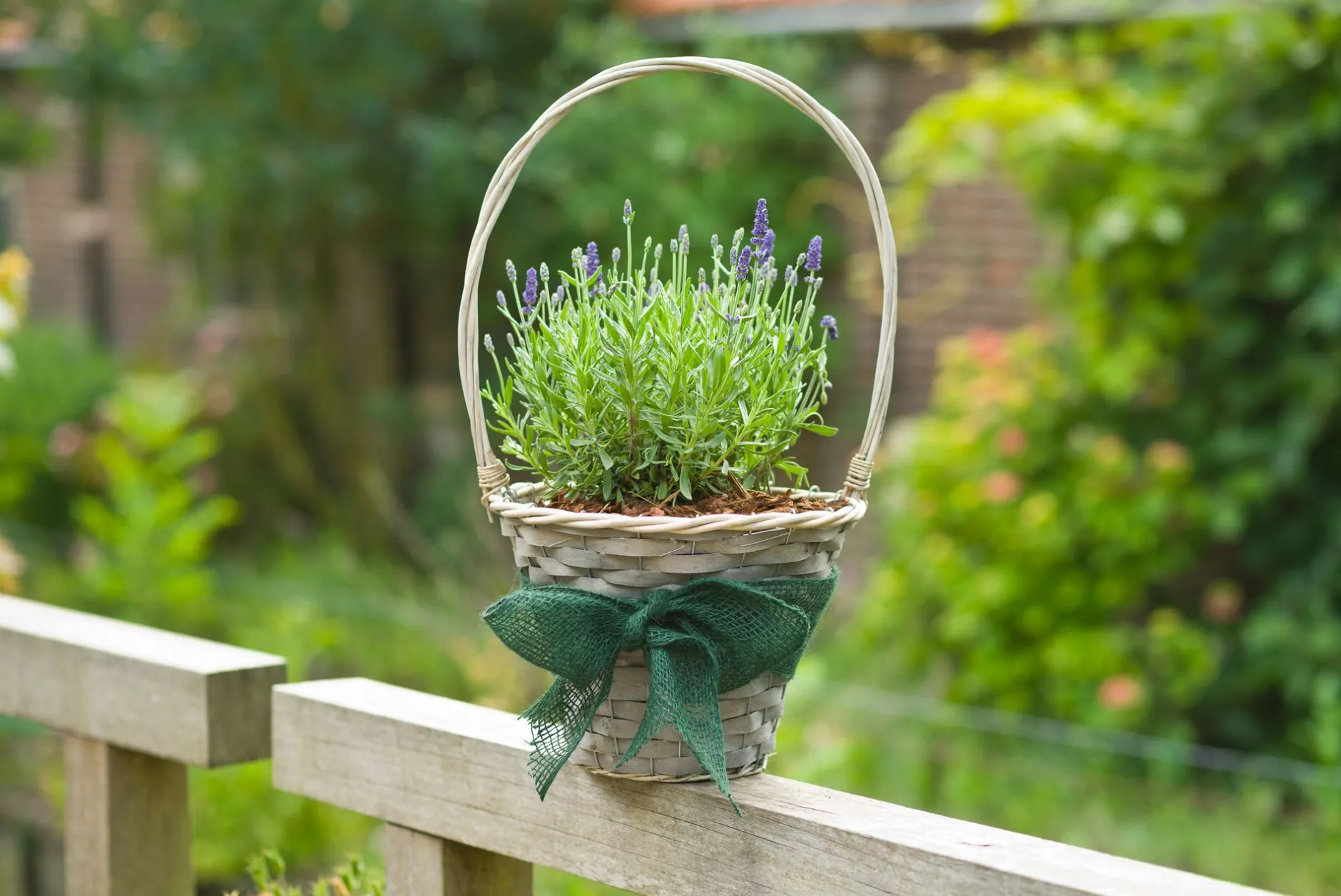 Juteband h10cmx25m groen 220g/m²|ohgreen Clearance