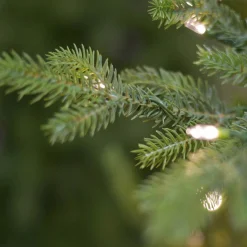 Kerstboom buckingham 213cm 650 led|ohgreen Online