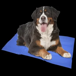 Koelmat|ohgreen Sale