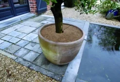 Kokosschijf Ø30cm 3 stuks|ohgreen Discount