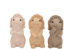 Konijnen natuurlijk bruin 10x8x17|ohgreen New