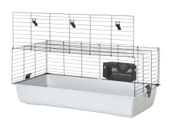 Kooi Ambiente 100cm|ohgreen Clearance