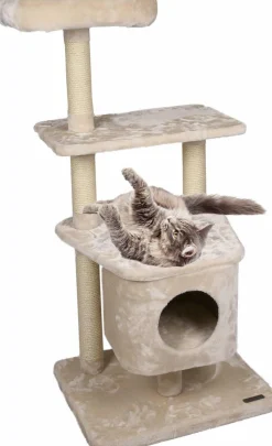 Krabpaal Norma|ohgreen