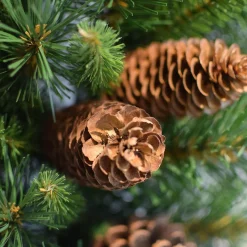 Krans d51cm|ohgreen Clearance