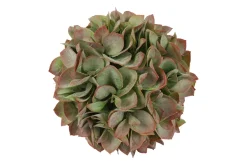 Kunstdeco bal eucalypthus|ohgreen Online