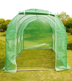 Kweekserre gebogen|ohgreen Sale