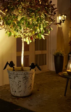 Lamp Texas Solar|ohgreen New