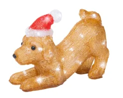 Led hond acryl steady|ohgreen Best